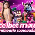 Space1bet ทางเข้าเล่น สะดวกปลอดภัย รวมเกมสล็อตสุดฮิต
